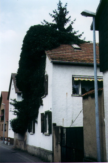a12.jpg
