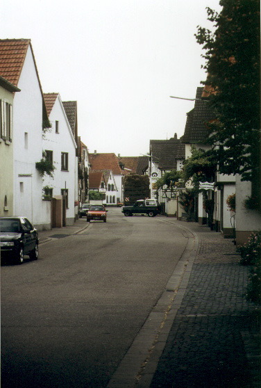 a21.jpg