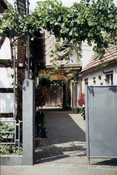 a22.jpg