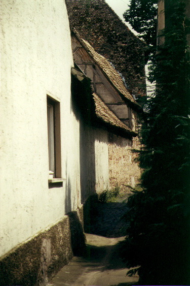 a29.jpg